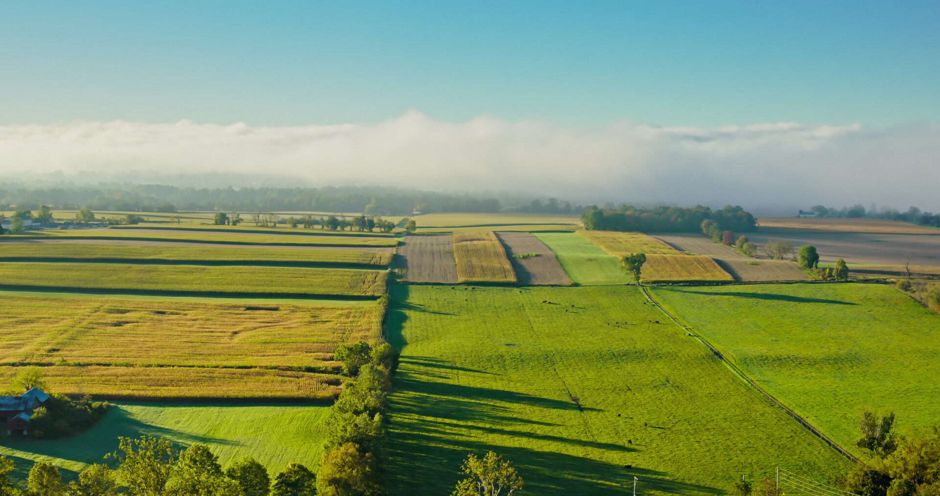 Drone Shot of Farmland in Lycoming County, Pennsylvania on a Misty Fall Morning